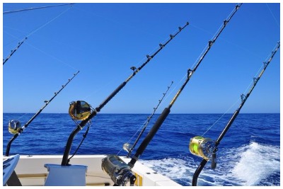 ماهیگیری ترولینگ پوکت | رزرو آنلاین ماهیگیری ترولینگ پوکت با قیمت باور نکردنی