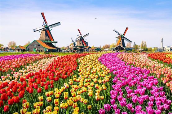 تور هلند با پرواز مستقیم و اقامت 7 روزه در بهترین هتل های کشور هلند