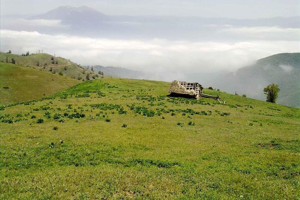 تور ییلاق سلانسر |رزرو آنلاین تور ییلاق سلانسر با کادر مجرب و حرفه ای و قیمت باور نکردنی