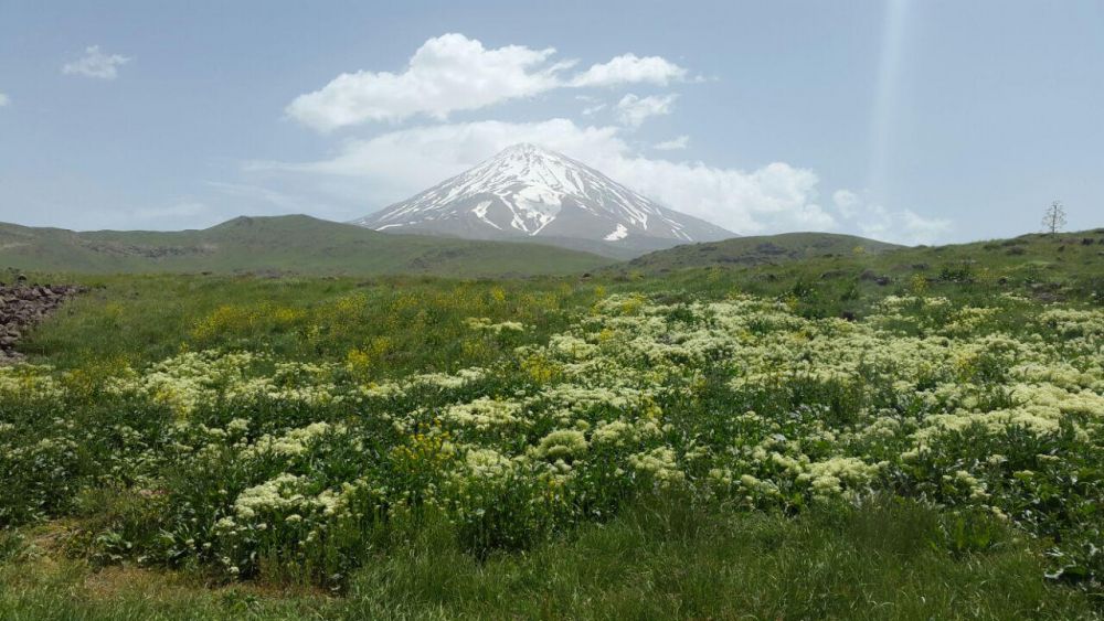 تور لار |رزرو آنلاین تور دشت لار با کادر مجرب و حرفه ای و قیمت باور نکردنی